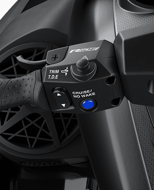 RiDE® Throttle Control System