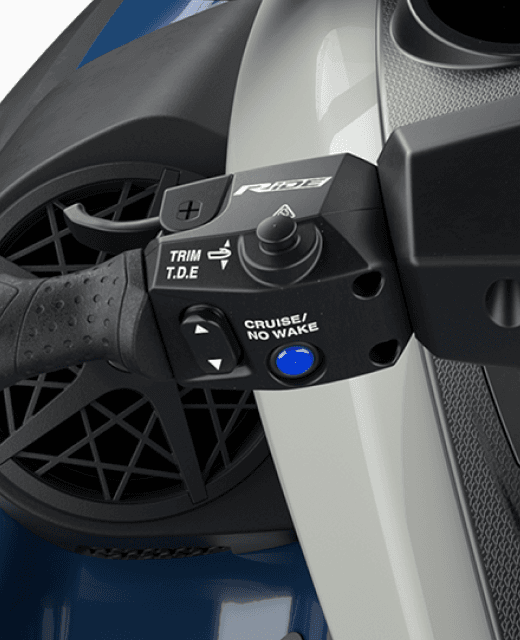 RiDE® Throttle Control System