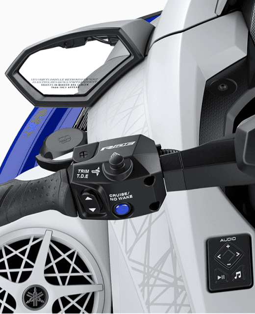 RiDE® Throttle Control System