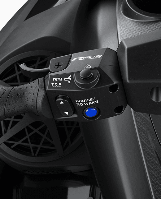 RiDE® Throttle Control System